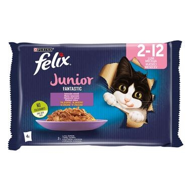 FELIX Fantastic Junior mokra hrana za mačke s piletinom i lososom u želeu