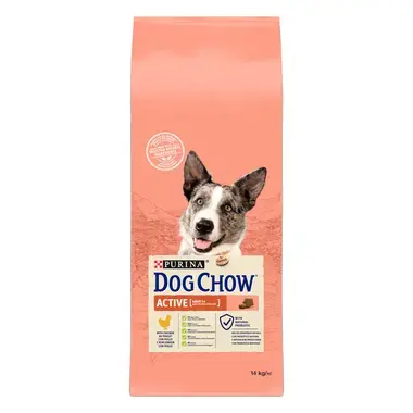 Purina Dog Chow active adult 1