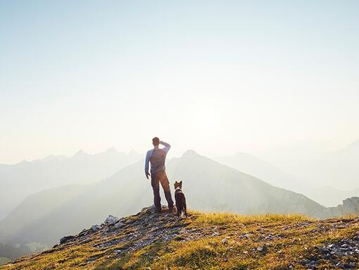 Naših prethodnih 10 obveza "Purina u Društvu"