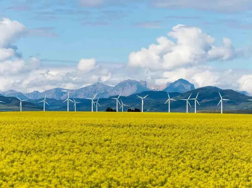 Obnovljiva električna energija