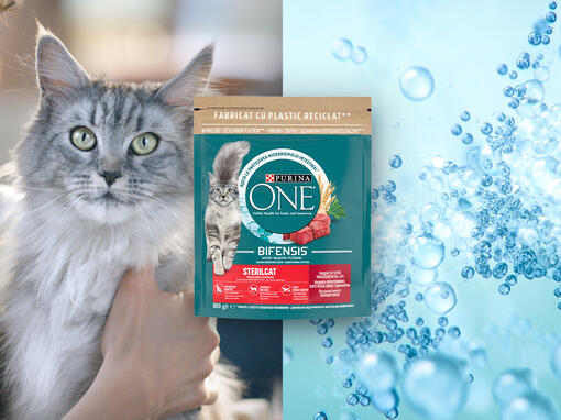 purina-one